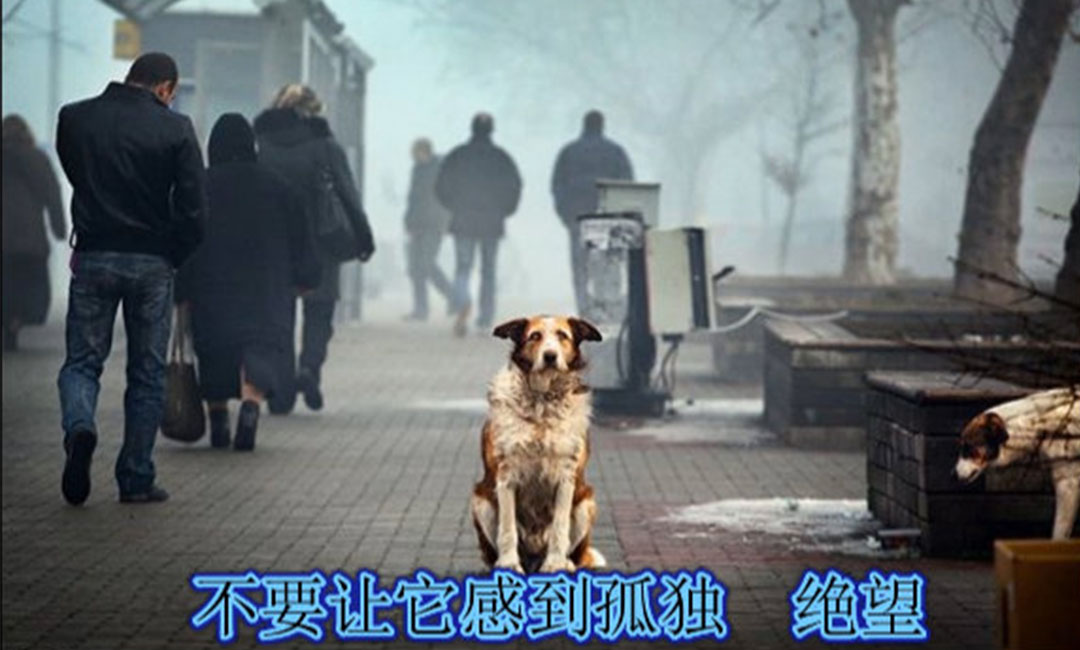 滨州滨州爱影圈微博微信转发案例